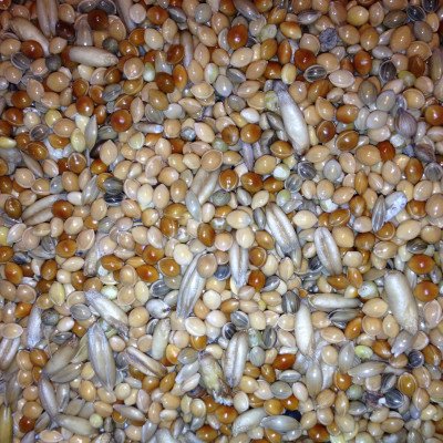AVEST Andulka 04 - 20kg