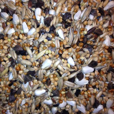 AVEST Agapornis 12 - 20kg
