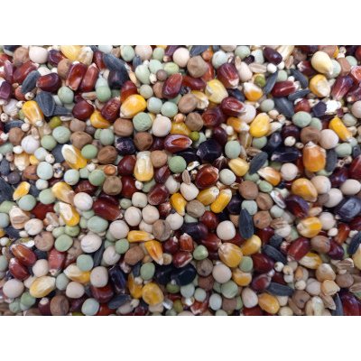 AVEST Holub H4 - 25kg