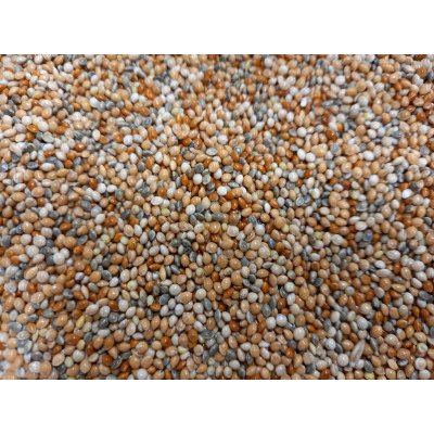 AVEST Proso 4 barev - 25 kg