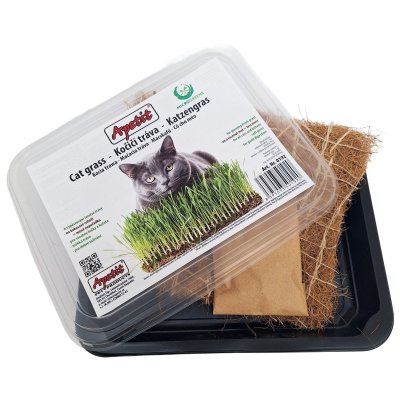 Apetit Kočičí tráva k vypěstování - miska, kokosová rohož, semínka 30g