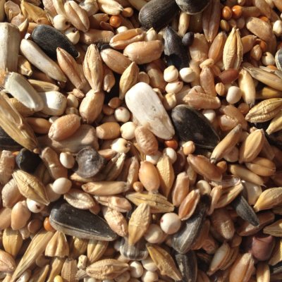 AVEST Holub  DIETA  01 - 20kg