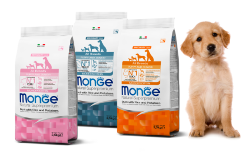 KRMIVA MONGE A GEMON